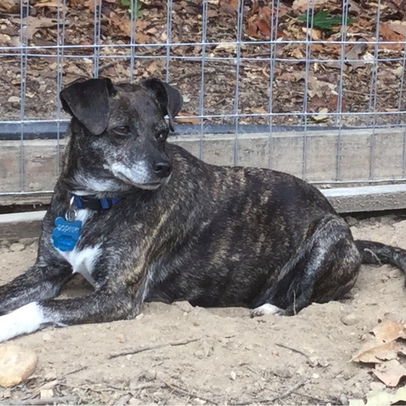 Meet TubbySunrise - Picture 7 of 7